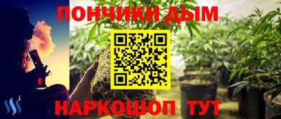 гашик Будённовск