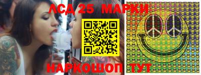 гашик Будённовск