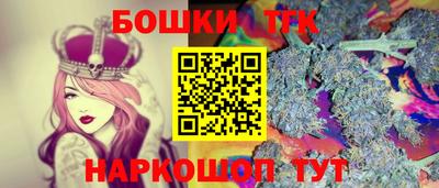 гашик Будённовск