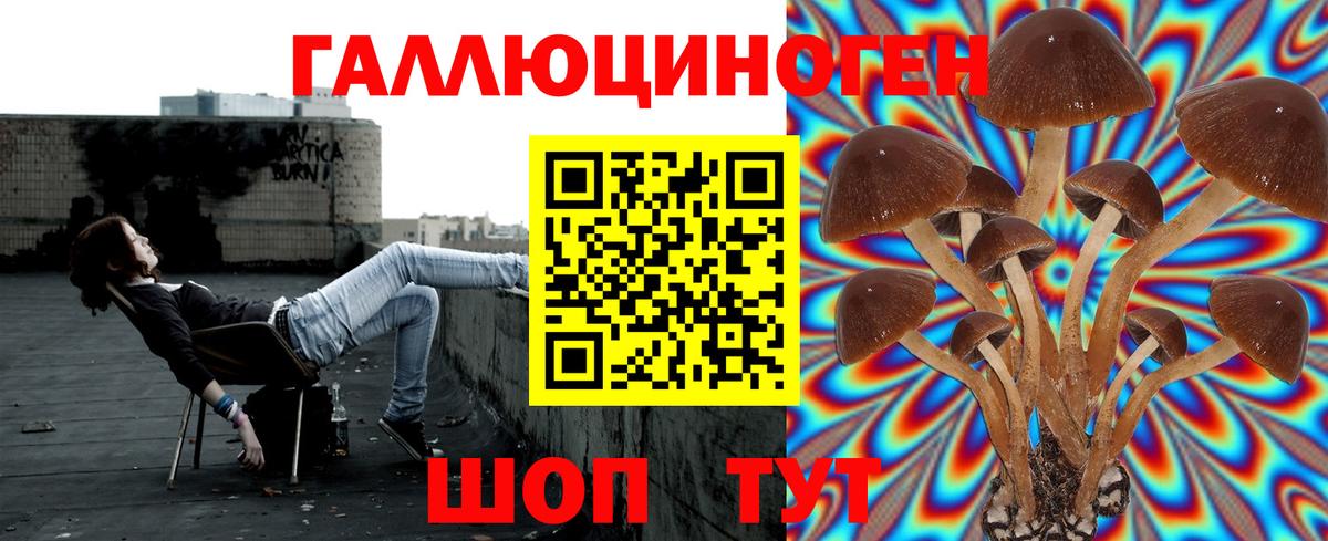 Псилоцибиновые грибы Psilocybine cubensis Нарьян-Мар